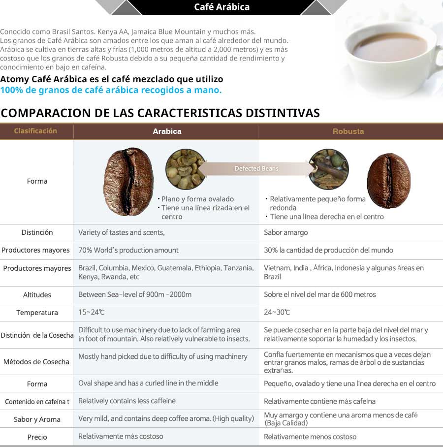 ☕ 10 Características del Café Arábica